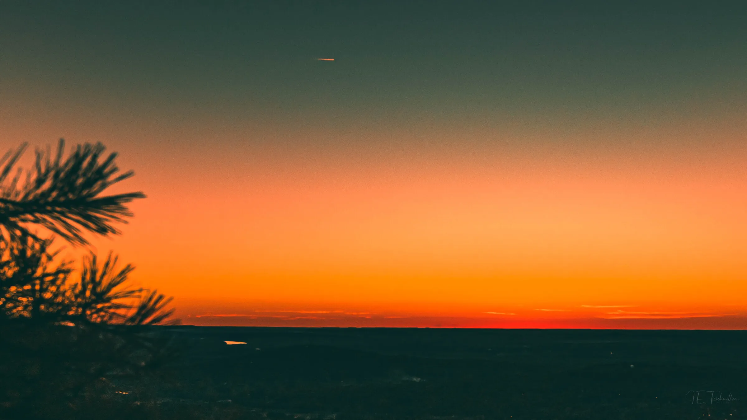 A pine bough silhouetted against a minimal sunset, the sky fading from teal to fiery orange over a darkened valley.